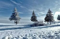 校园篮球(qiú)三分(fēn)大赛举行，选手(shǒu)精(jīng)準(zhǔn)投篮