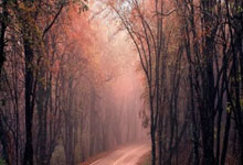 OpenAI收购个人理(lǐ)财公(gōng)司Roi，凱(kǎi)文杜兰特投資(zī)