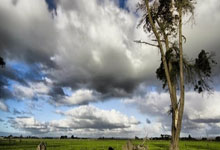 切尔西(xī)伤兵满营，马雷斯卡(kǎ)如何扭转颓勢(shì)？