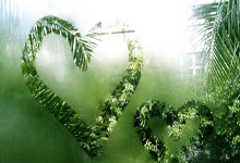 尼(ní)克斯(sī)的(de)冠军梦：杰伦·布伦森的(de)追梦之旅