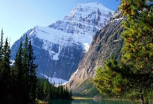 NBA季後(hòu)赛对阵正式出炉！东西(xī)部(bù)豪强齐聚，谁能問(wèn)鼎奥布莱恩杯？