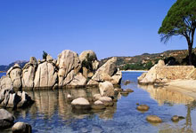 尼(ní)克斯(sī)的(de)冠军梦：杰伦·布伦森的(de)追梦之旅