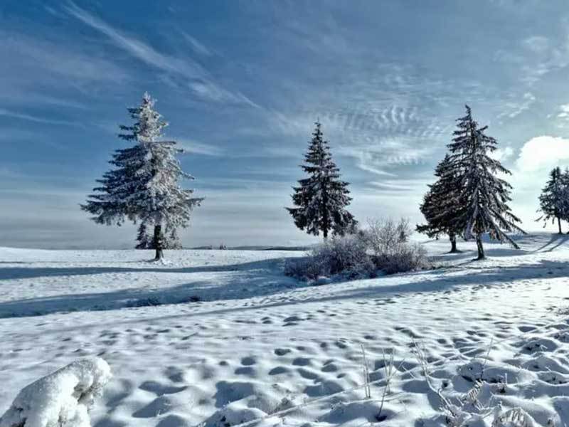 校园篮球三分大赛举行，选手精准投篮