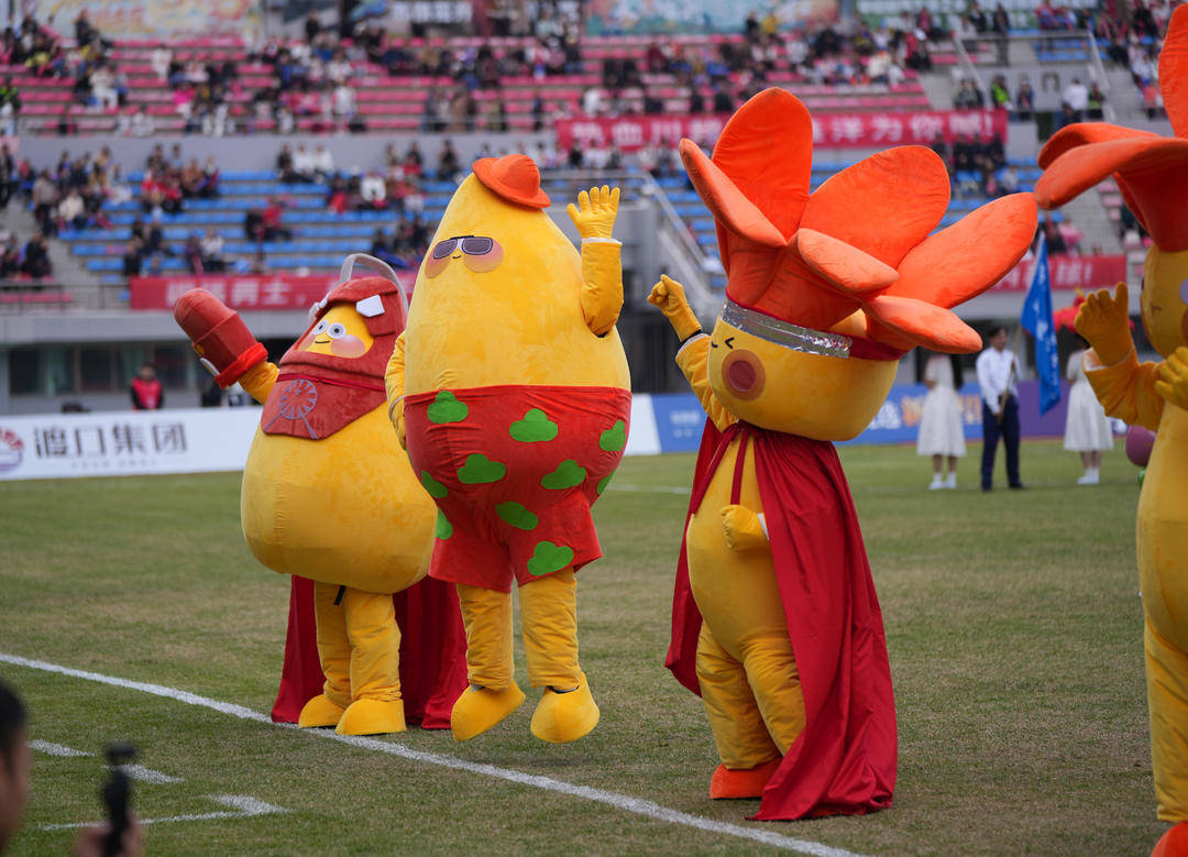 保持主场不败！“川超”攀枝花1:0眉山完成收官战